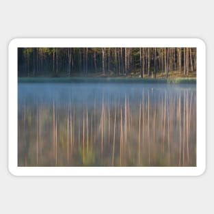 Forest reflecting to small lake at morning Sticker